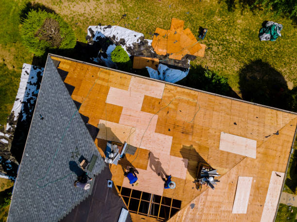 Best Roof Maintenance Services  in Wailea, HI